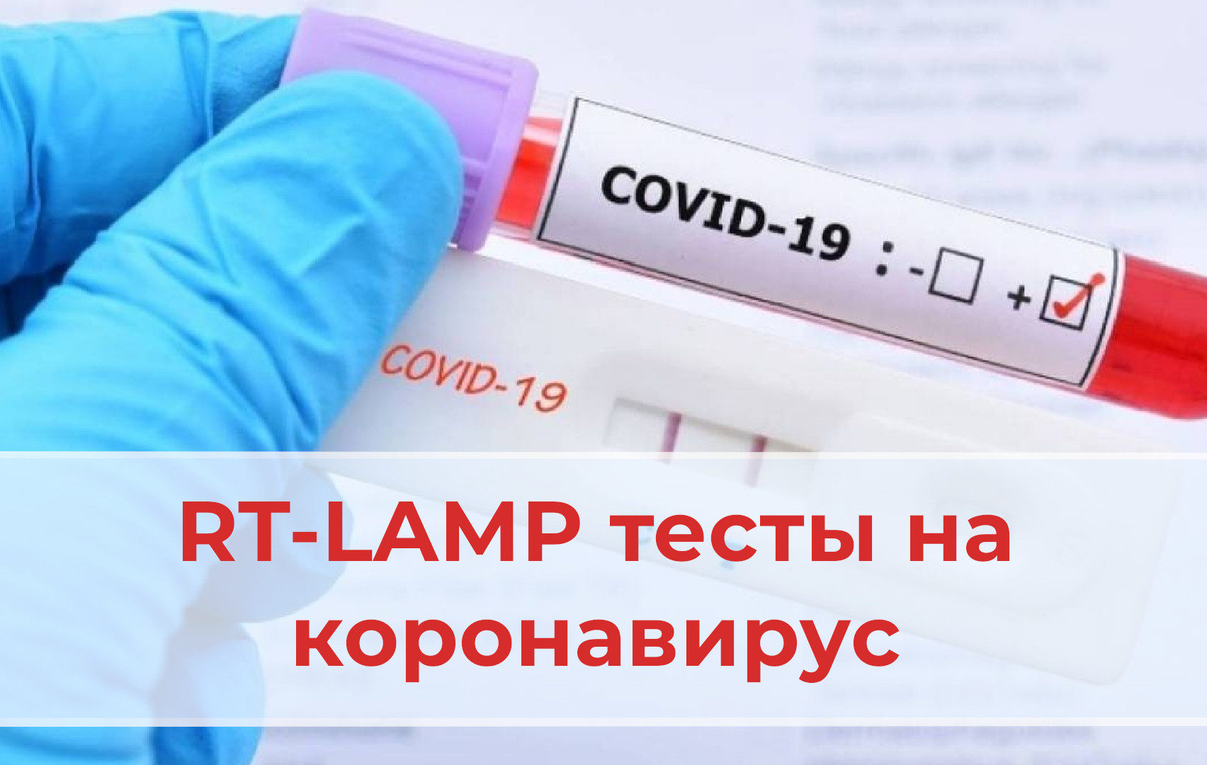 RT-LAMP тест на Covid-19